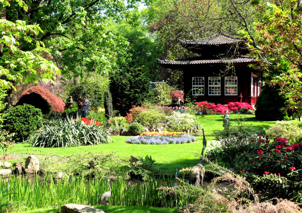 Frühling im japanischen Garten in Leverkusen 1