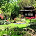 Frühling im japanischen Garten in Leverkusen 1