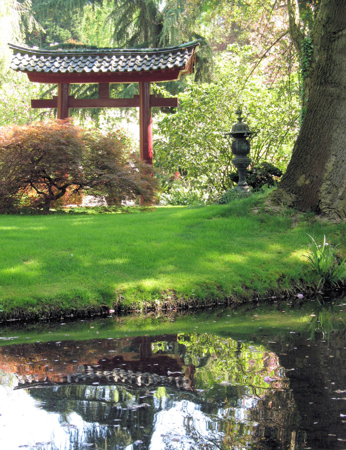 Frühling im japanischen Garten in Leverkusen 2