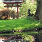 Frühling im japanischen Garten in Leverkusen 2