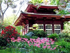 Frühling im japanischen Garten in Leverkusen 3