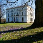 Frühling im Jenischpark