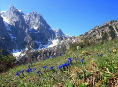 Frühling im Kaiserbachtal ( Tirol)