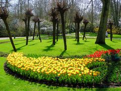 FRÜHLING IM KEUKENHOF 2 - SPRINGTIME IN KEUKENHOF