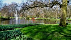 FRÜHLING IM KEUKENHOF 5 - SPRINGTIME IN KEUKENHOF