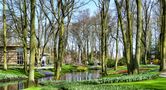 FRÜHLING IM KEUKENHOF 6 - SPRINGTIME IN KEUKENHOF von Günter Walther 