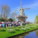 Frühling im Keukenhof