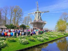 Frühling im Keukenhof