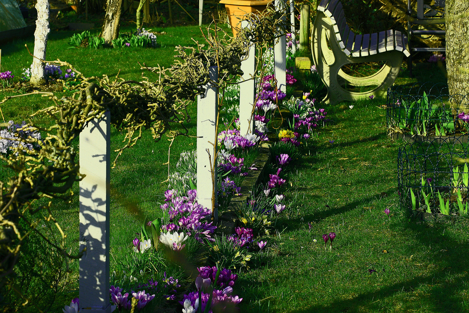 Frühling im Kleingarten