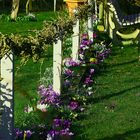 Frühling im Kleingarten