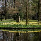 Frühling im Klever Forstgarten