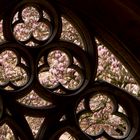 Frühling im Kloster Maulbronn