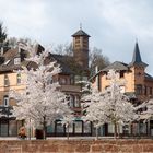 Frühling im Kloster St. Georgenberg in Frankenberg/Eder 2