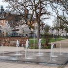 Frühling im Kloster St. Georgenberg in Frankenberg/Eder 3