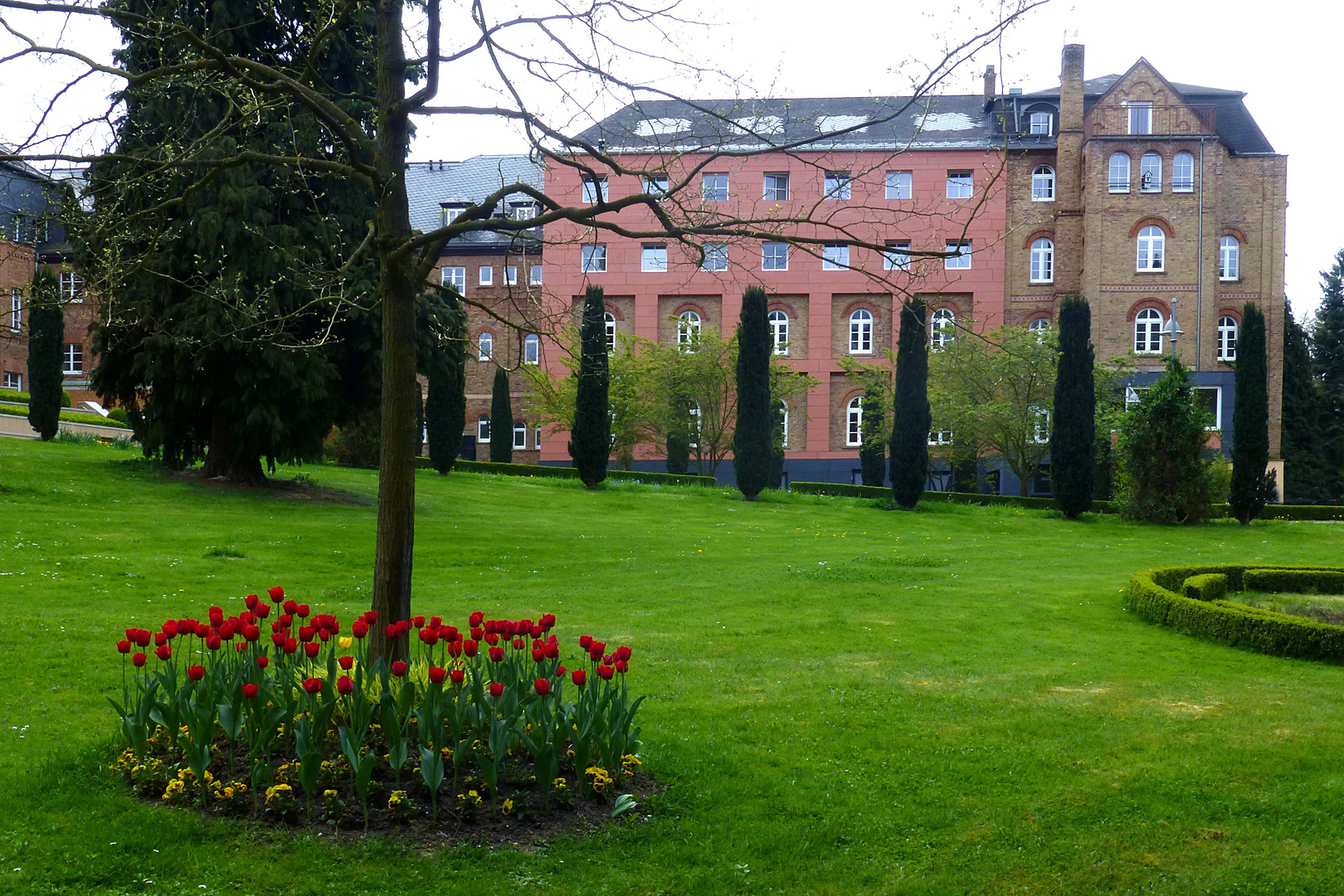 Frühling im Klosterpark Arenberg (1)