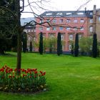 Frühling im Klosterpark Arenberg (1)