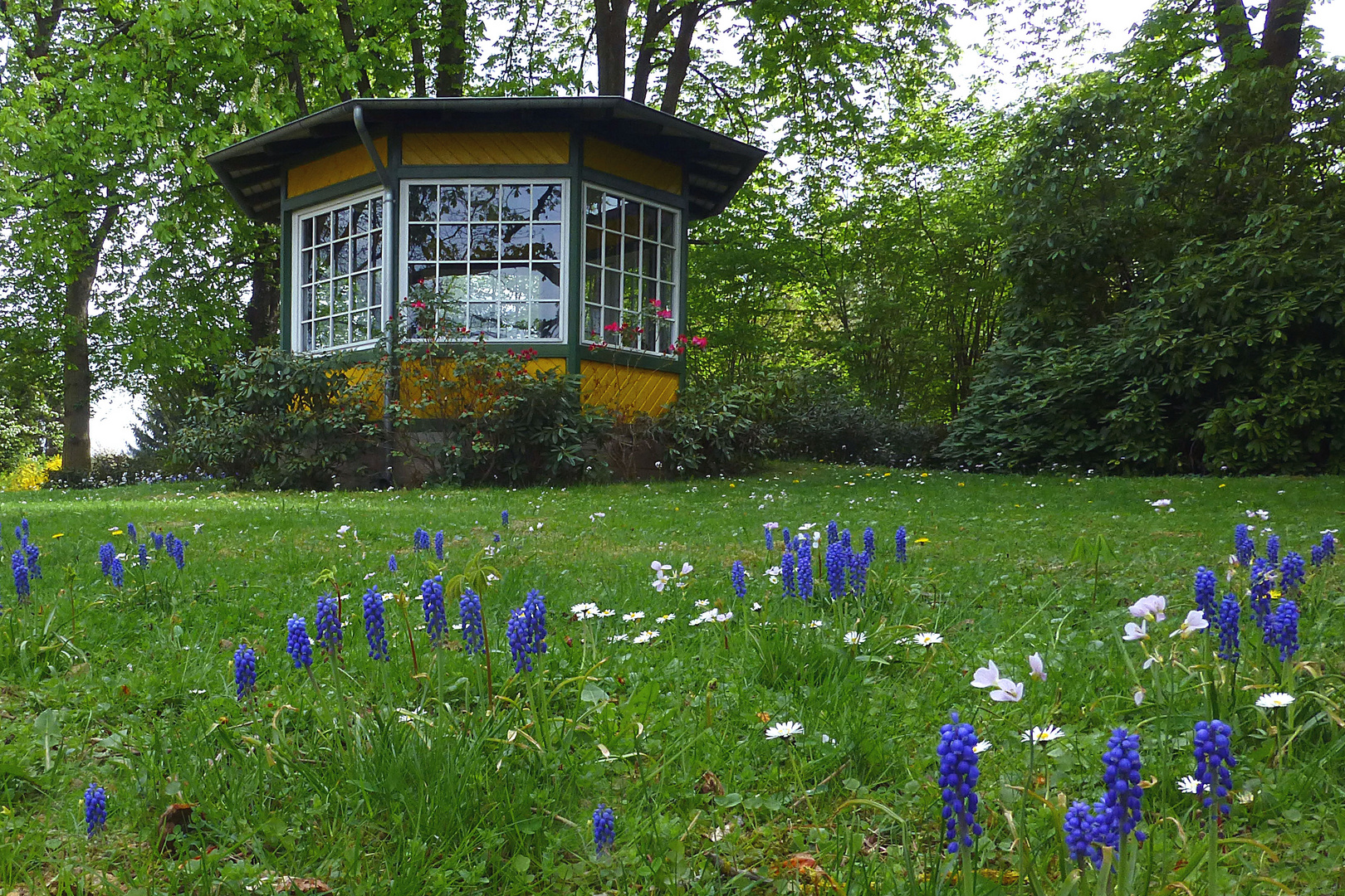 Frühling im Klosterpark Arenberg (2)