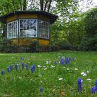 Frühling im Klosterpark Arenberg (2)