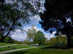 Frühling im Kölner Grüngürtel