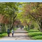 Frühling im Kölner Grüngürtel