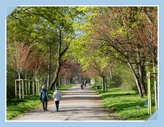 Frühling im Kölner Grüngürtel