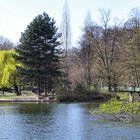 Frühling im Kölner Stadtwald