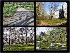 Frühling im Kölner Stadtwald