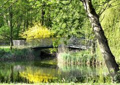 Frühling im Kölner Stadtwald