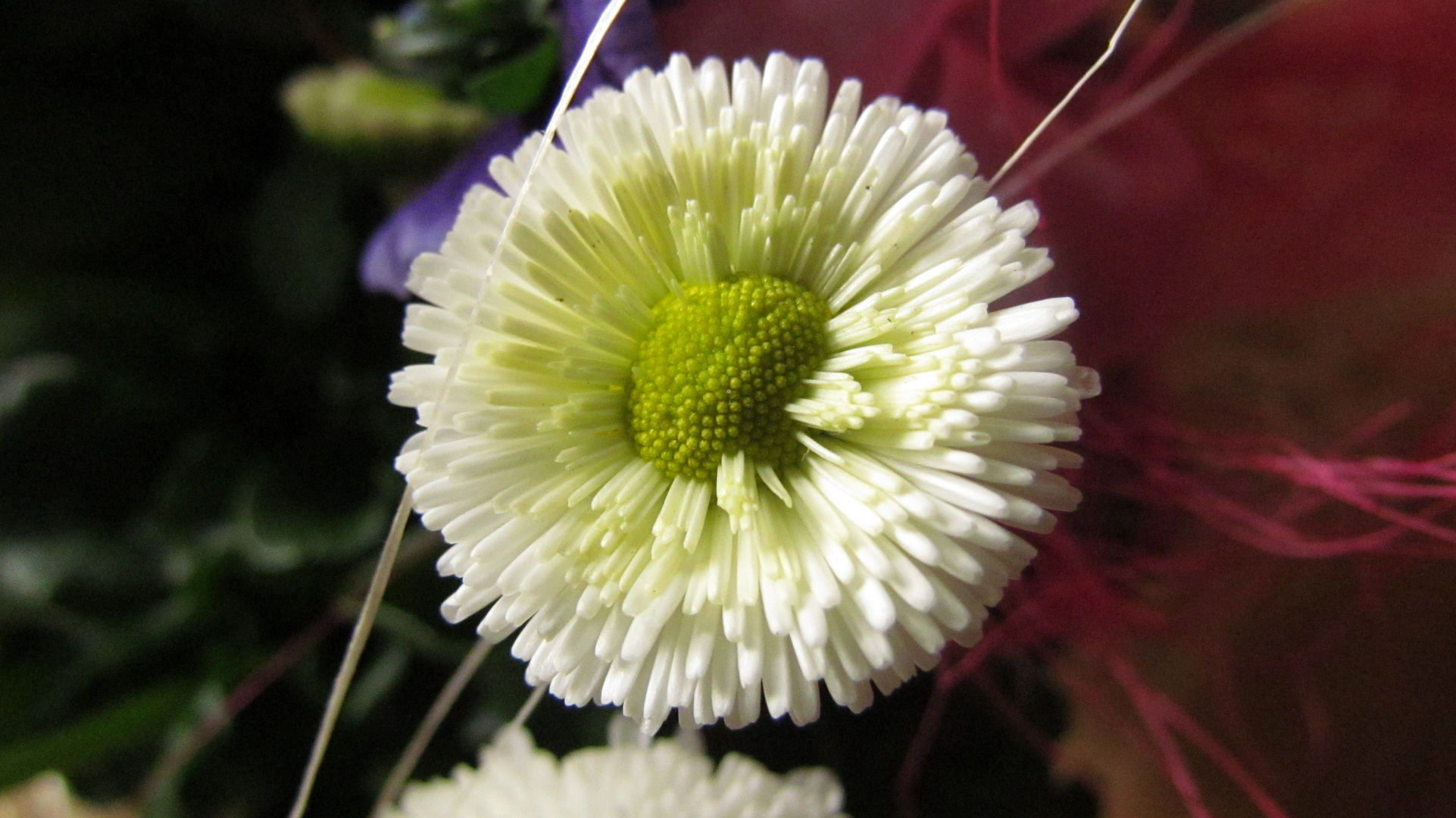 Frühling im Körbchen