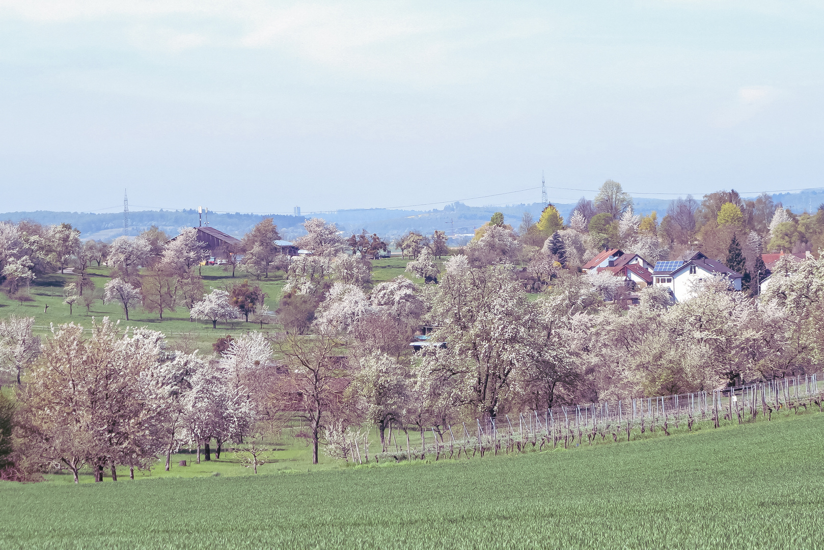 Frühling im Kraichgau