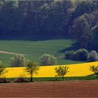 Frühling im Kraichgau