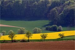 Frühling im Kraichgau