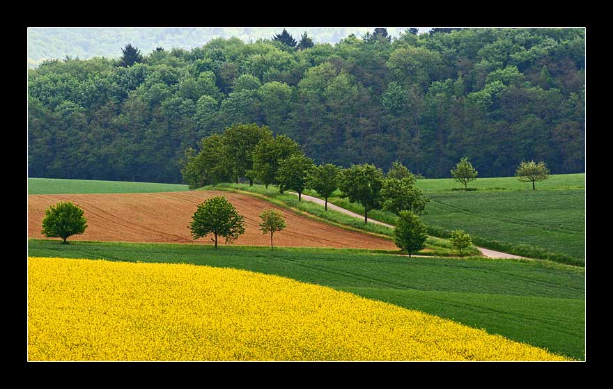 Frühling im Kraichgau