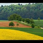 Frühling im Kraichgau