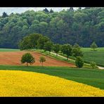 Frühling im Kraichgau