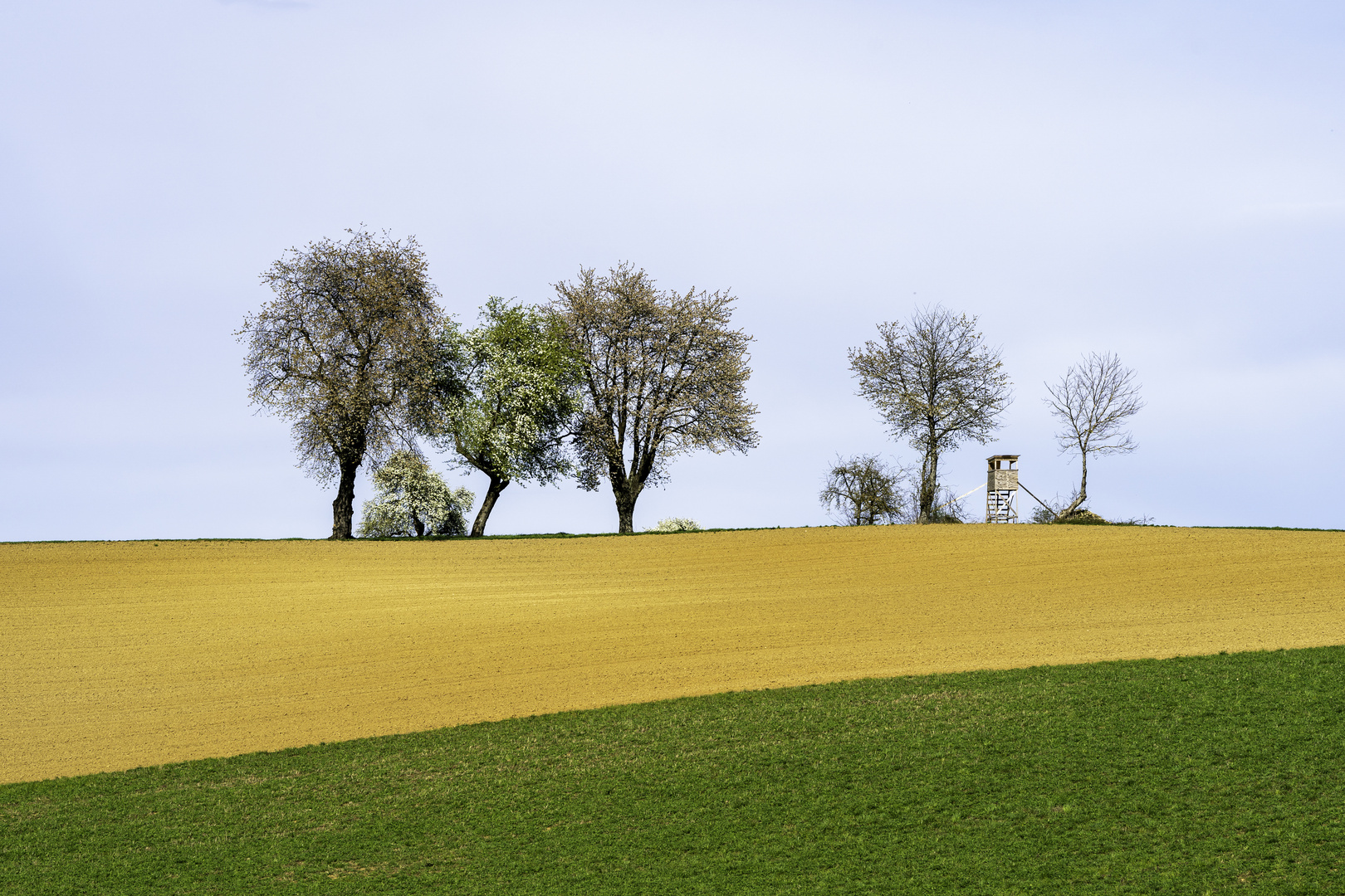 Frühling im Kraichgau