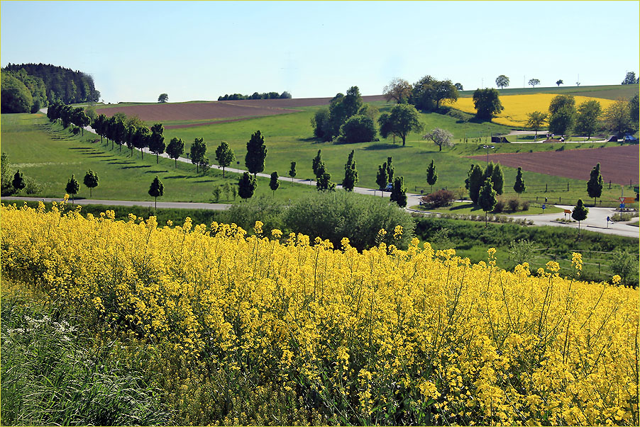 Frühling im Kraichgau