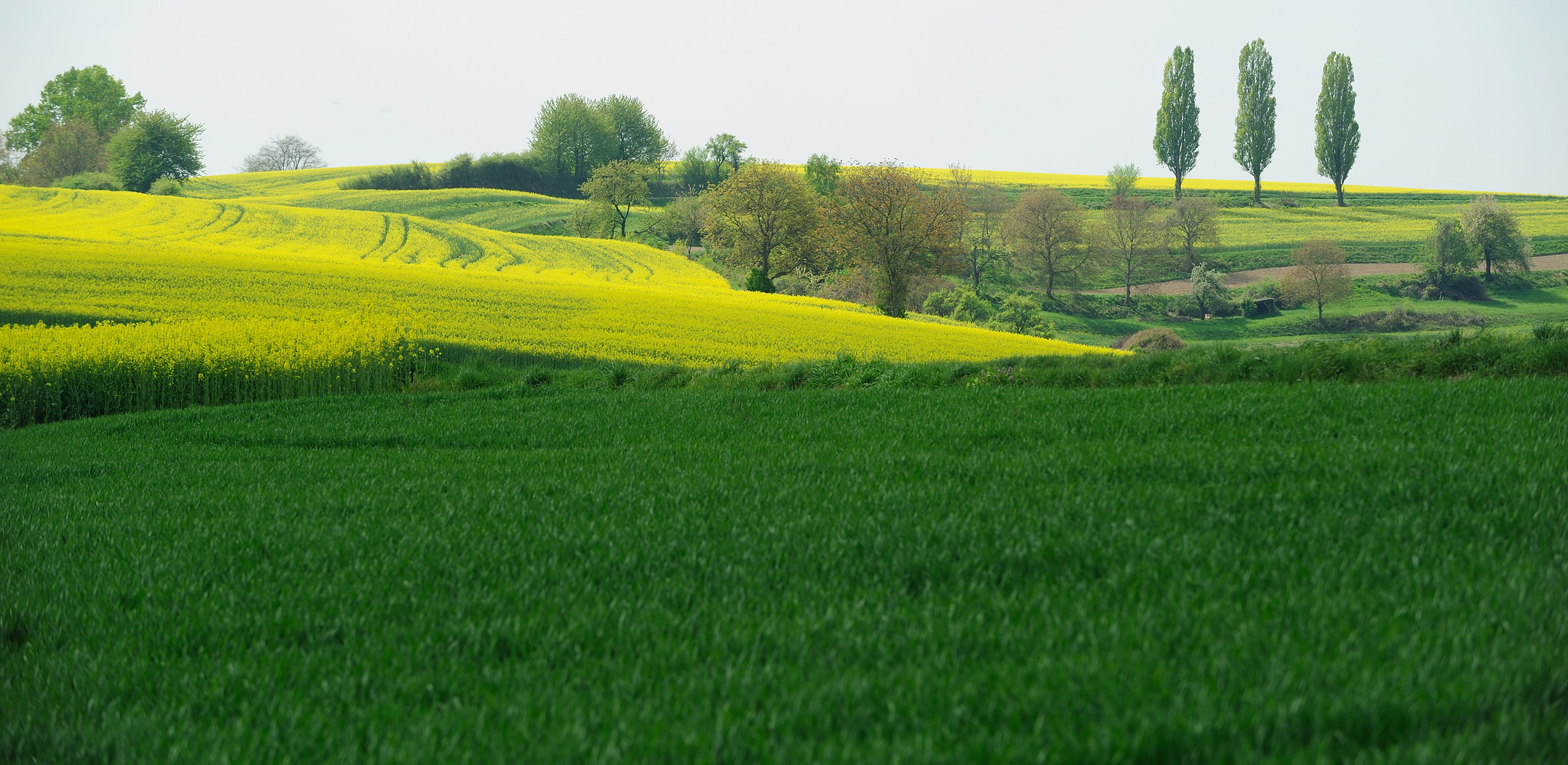 Frühling im Kraichgau