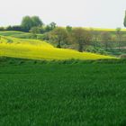 Frühling im Kraichgau