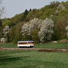 Frühling im Krebsbachtal