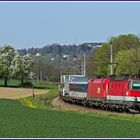 Frühling im Kremstal