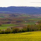 Frühling im Kt. Waadt