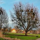 Frühling im Kulturpark