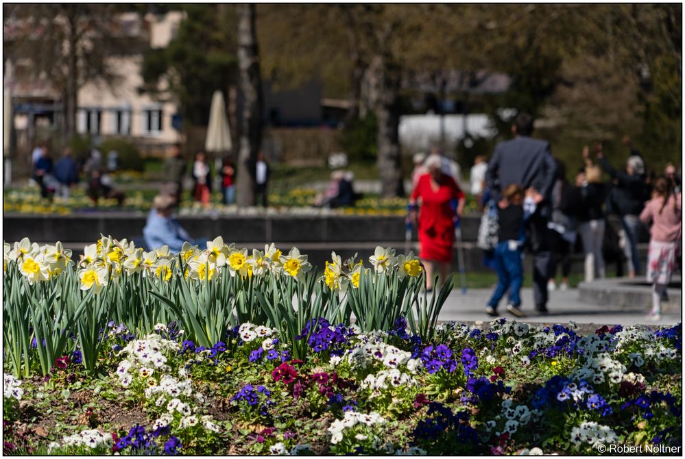 Frühling im Kurpark 02