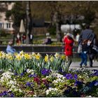 Frühling im Kurpark 02