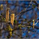 Frühling im Kurpark 03