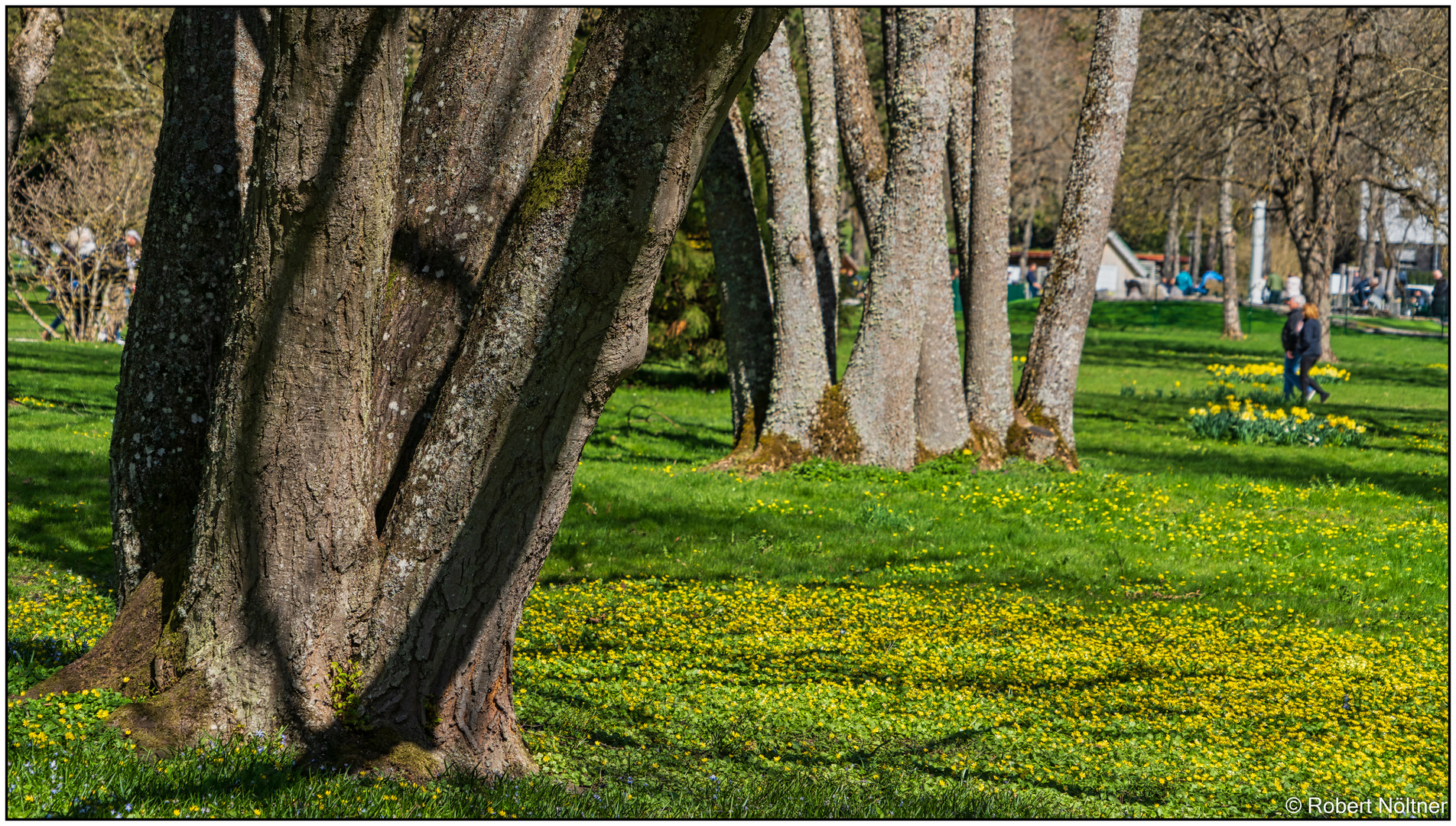 Frühling im Kurpark 07