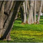 Frühling im Kurpark 07