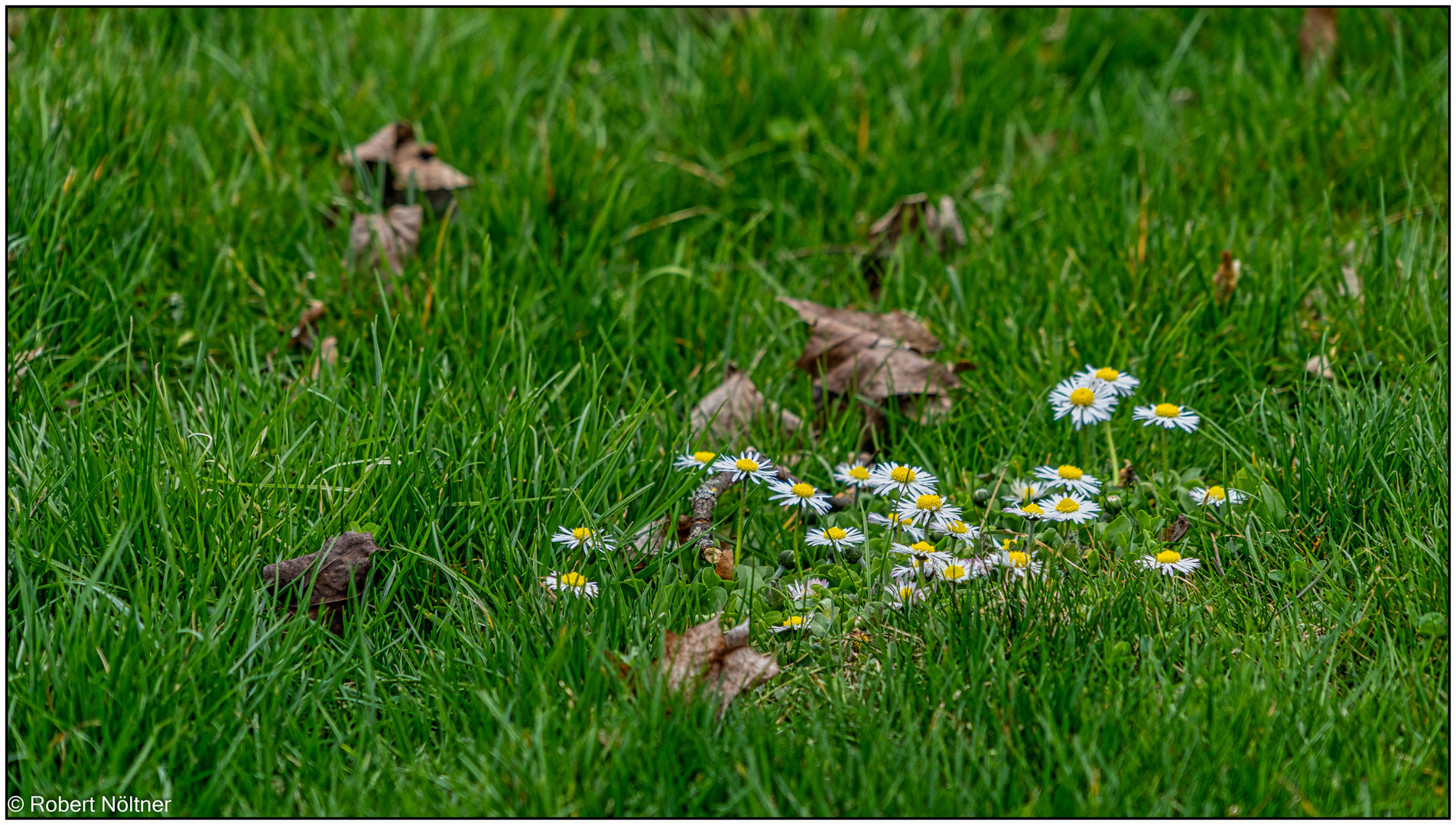 Frühling im Kurpark 09