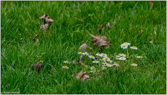 Frühling im Kurpark 09